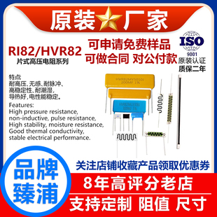 RI82耐高压电阻器片式 4W1W2W3W5W1K 10M 100GJ 5％直插片状插件1