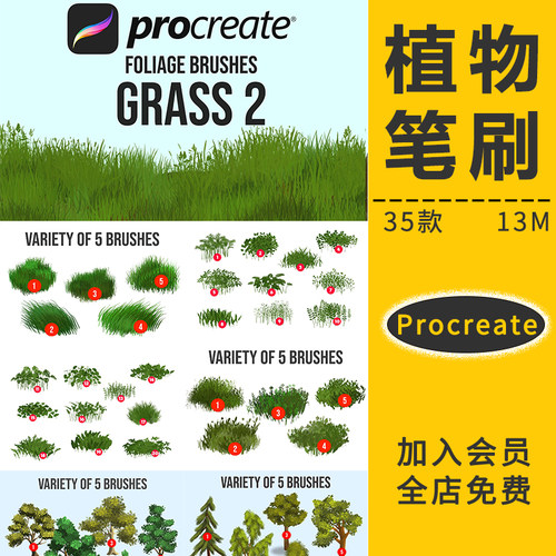 Procreate笔刷自然植物树叶子绿草绿树风景婚礼园林ipad手绘插画