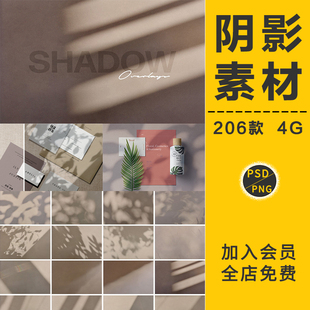 阴影光影植物花卉树叶投剪影子光斑效果贴图样机海报背景PSD素材