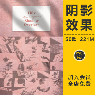 自然植物阴影叠加树叶光影图光斑效果PNG免抠背景图片PSD后期素材