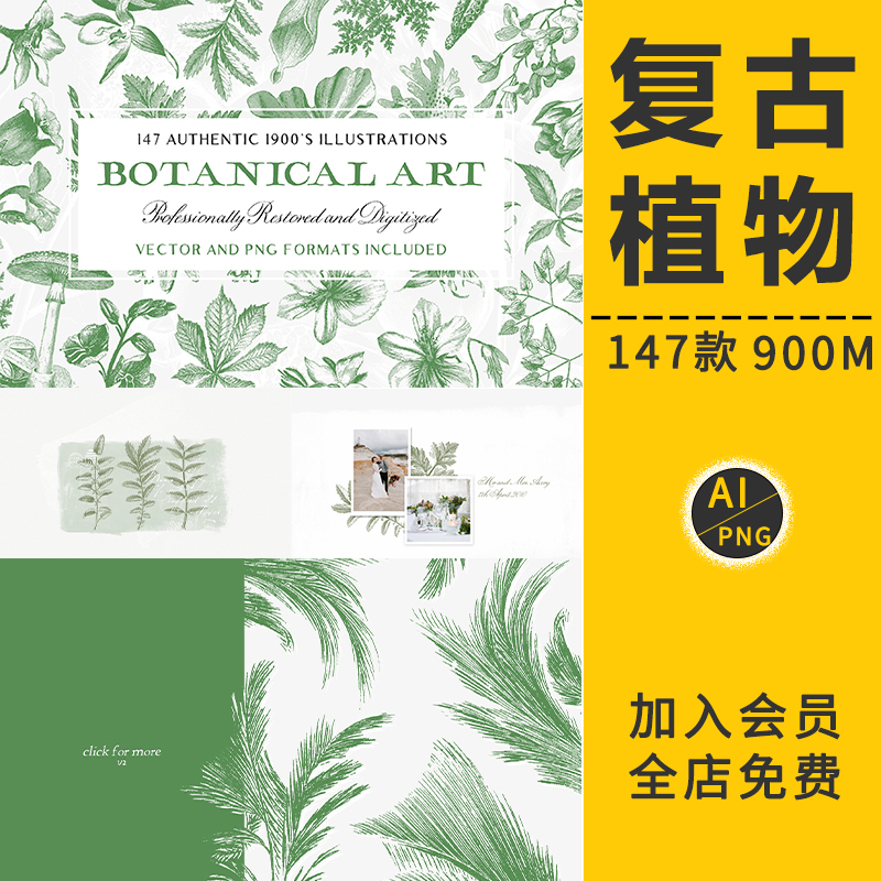 复古植物花卉线描插画手绘无缝海报封面贴图包装邀请函AI矢量素材