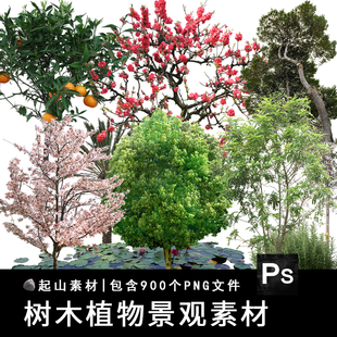 PS园林景观植物绿色树木立面树乔木建筑效果图PNG免抠图设计素材