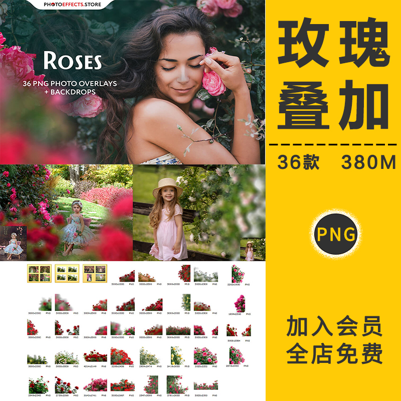 玫瑰花卉花丛前景虚化仿镜头模糊照片叠加层合成png免抠设计素材