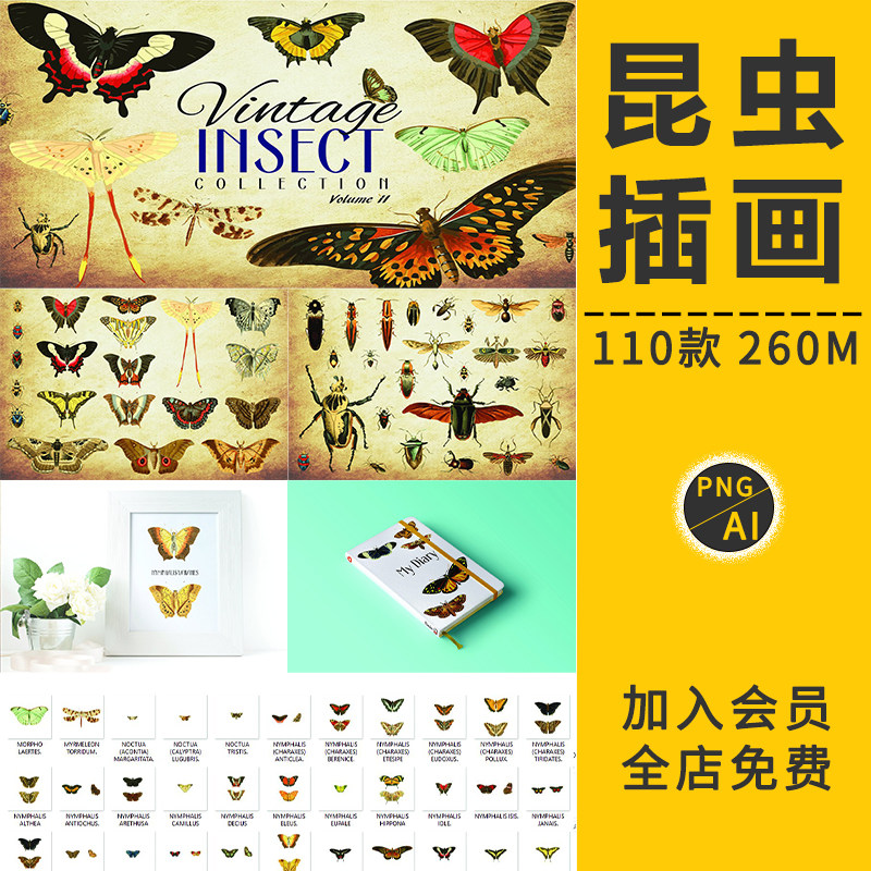 复古手绘昆虫矢量插画蝴蝶甲虫蜻蜓蟑螂AI矢量图PNG免抠元PS素材