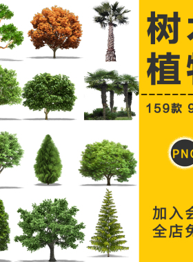 树木植物园林景观绿色立面椰子树乔木建筑效果图PNG免抠设计素材