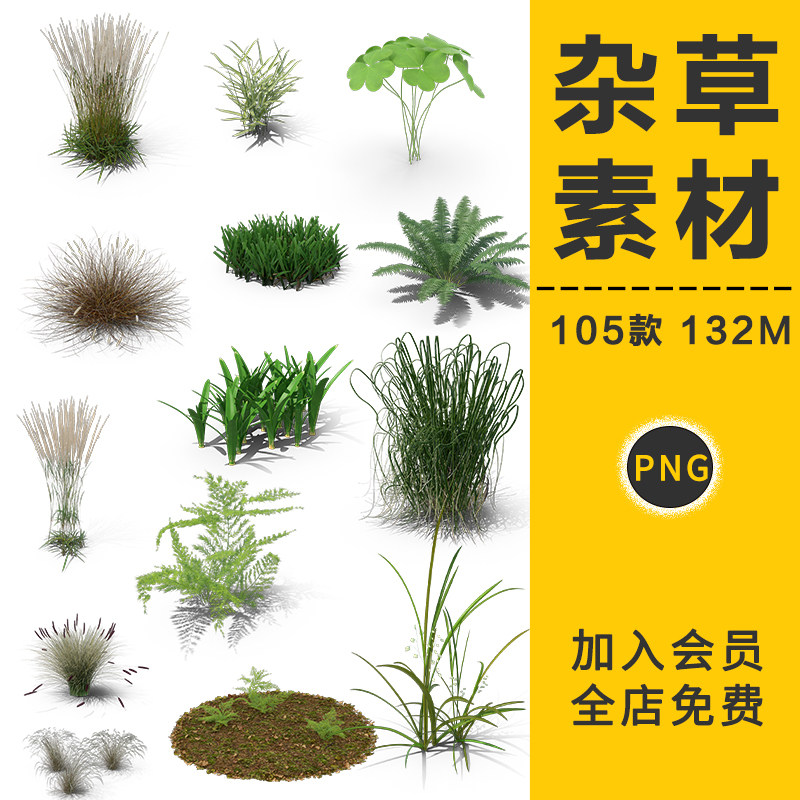 杂草小草丛小麦芦苇草芦三叶蕨类植物png免抠景观后期合成ps素材