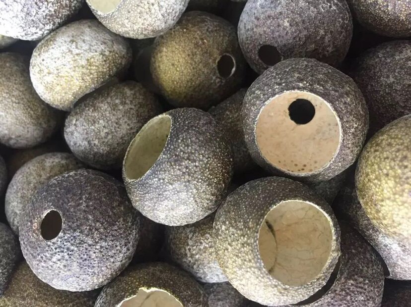 正宗小青柑壳 果壳纯手工新鲜半生晒陈皮干果壳 diy自制柑普茶