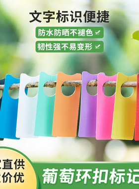 植物农业园艺标记牌葡萄标签西瓜授粉记号卡瓜果苗木标识花卉环扣