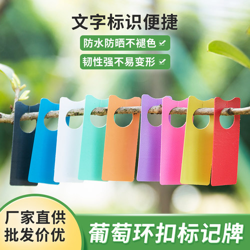 园艺标签葡萄扣西瓜授粉记号牌