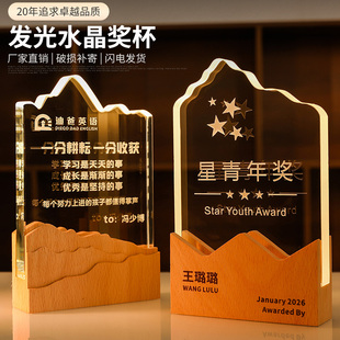 发光水晶奖杯定制木质底座公司先进个人销冠年会颁奖退休纪念奖品
