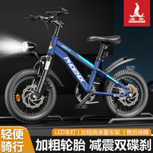 2025新款凤凰儿童自行车6岁8到12岁男女孩10到15岁轻便单车自行车