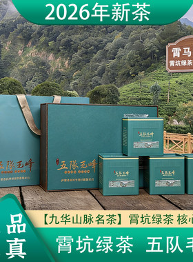 2026新茶安徽池州肖坑茶叶霄坑五队毛峰绿茶高山野生茶叶礼盒装