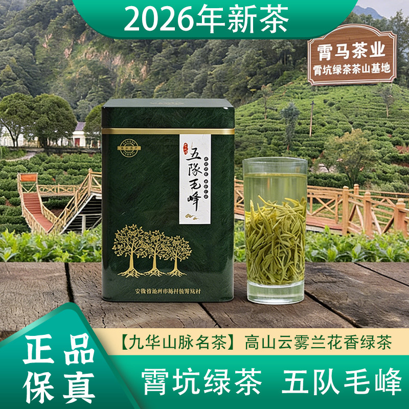 2026新茶安徽池州肖坑茶叶霄坑五队毛峰绿茶高山野生茶叶250g