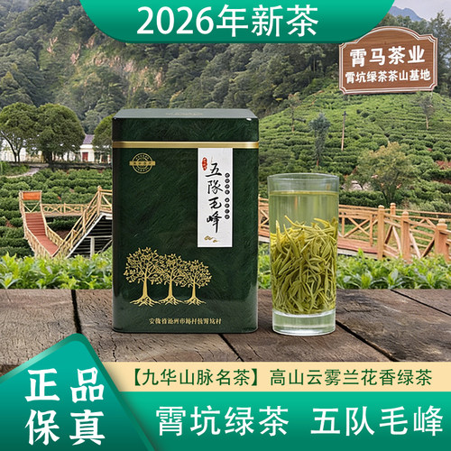 核心产区正宗五队毛峰口感标杆