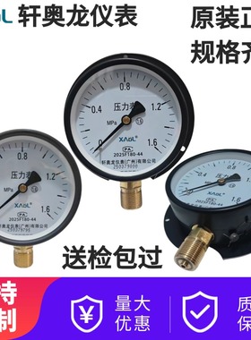 Y-100径向带边压力表0.6/1/1.6/4MPA船用面板式气压水压表YC-100T