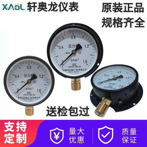 Y-100T径向带边压力表0.6/1.6MPA