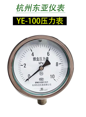 东亚仪表膜盒压力表YE-100天然燃气表检测天千帕管道微压0-10MPA