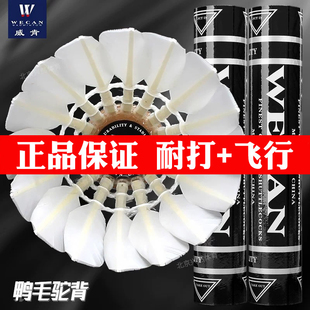 正品黑威肯羽毛球wecan套装耐用专业耐打装备亚4亚5比赛俱乐部