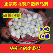 包邮 蛋中30枚 青壳笨鸡蛋 正宗农家散养乌鸡初生蛋绿壳土柴鸡蛋