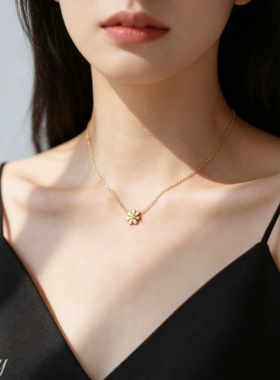 #钛钢锁骨小雏菊项链#春夏季女款小众花朵吊坠简约高级感