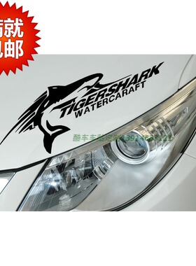 汽车反光车贴 灯眉 大灯 鲨鱼 TIGERSHARK