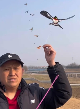 2026动态仿真卡通儿童鱼竿风筝
