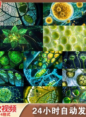 高清植物细胞叶绿体微距细胞结构分裂分化基因工程视频素材