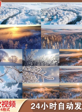 高清唯美冰雪雾凇景观合集4K 高质量专业拍摄冬季特效视频素材