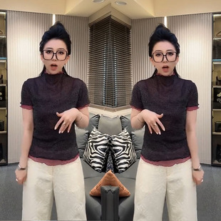 2026春季新款网纱半高领短袖打底衫欧货亮丝短袖性感显瘦T恤女装