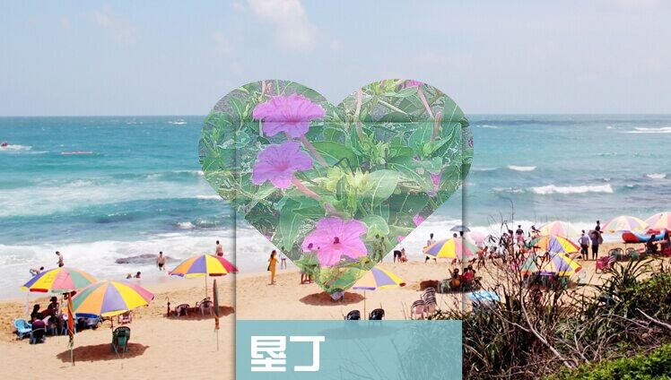 2026年台湾垦丁旅游攻略图（电子版）自由行交通景点美食旅行指南
