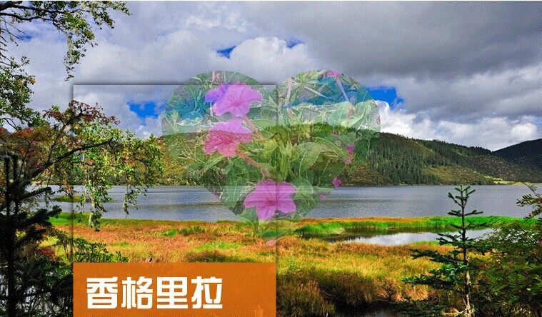 2026年云南香格里拉旅游攻略图(电子版)自由行交通景点美食旅行