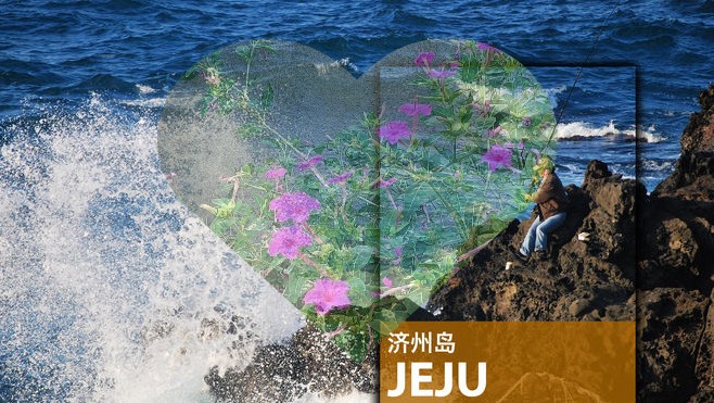 2025年韩国济州岛旅游中文地图攻略（电子版）自由行景点旅行指南