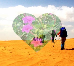 2025内蒙古库布齐沙漠旅游攻略（电子版）自由行交通景点美食旅行