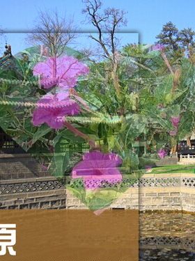2026年山西太原旅游攻略图（电子版）自由行交通景点美食旅行指南
