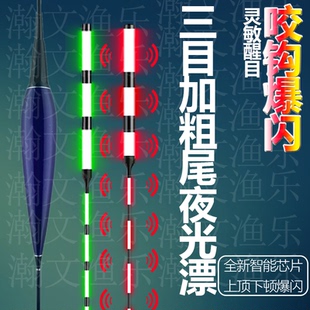 2025新款高端新型电子夜光漂尾日夜两用咬钩变色超亮醒目野钓神器