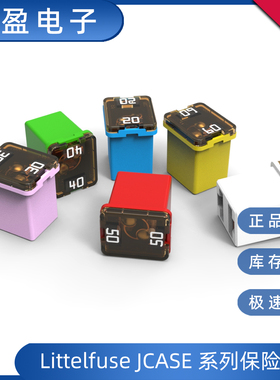 美国力特 895系列JCASE背包式汽车保险丝