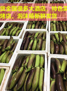冰川茄子云南农家新鲜名菜缅甸