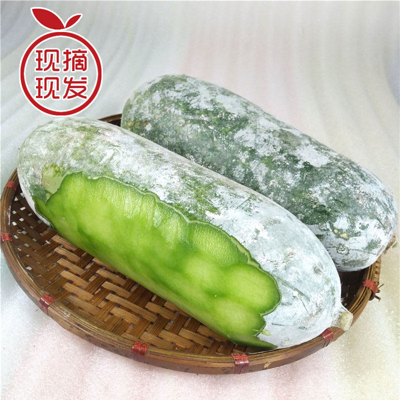 云南小香冬瓜新鲜冰川版纳高山蔬菜糯面翠玉当季粉白毛瓜5斤包邮