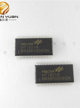 HT1621B SSOP-48 贴片LCD显示屏驱动 IC芯片 全新现货