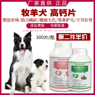 狗狗钙片粉健骨补钙边牧苏牧牧羊犬专用成犬幼犬立耳腿软抽搐怀孕