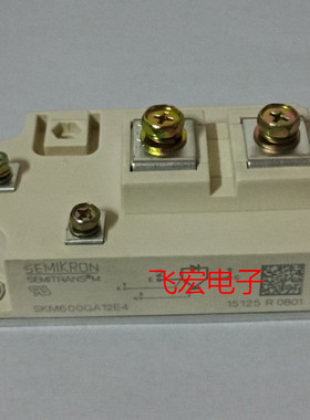 SKM600GA176D SKM800GA124D SKM800GA17E4 SKM500GA12T4 300GA12