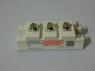 SKM75GB128D/T4 SKM100GB123D/128d BSM75GB120DN2 SKM50GB12T4询