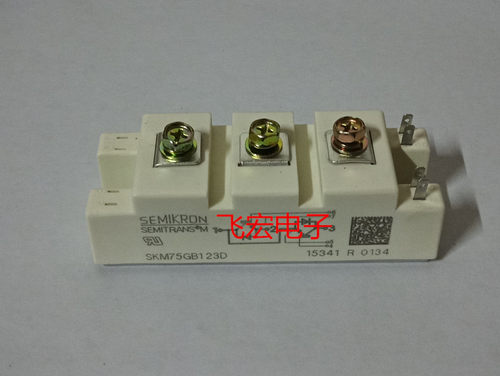 SKM75GB128D/T4 SKM100GB123D/128d BSM75GB120DN2 SKM50GB12T4询