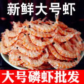 新货新鲜南极磷虾淡干虾皮虾米海鲜水产干货人食用大号即食海虾干