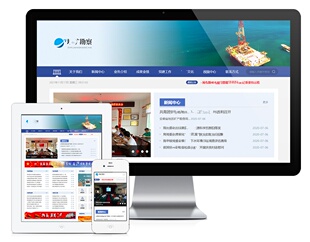 响应式行业协会部门单位类公司企业网站建设（正版授权模板源码）