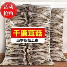 鹿茸菇干货 鹿茸菌50g产地直销煲汤食材土特产一手价厂家直销 包邮