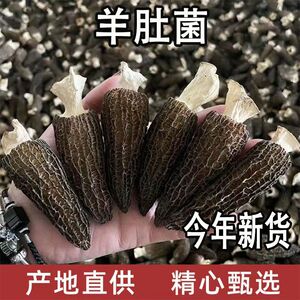 野生云南精选羊肚菌价孕妇干货精选正品煲汤食材农家特产滋补养生