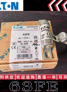 BUSSMANN熔断器 35/40/50/63/71/80/100FE FEa 690V BS88:4保险丝