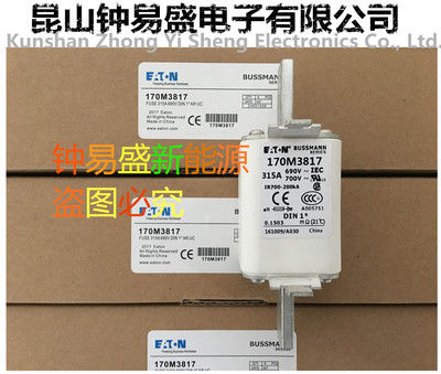 美国BUSSMANN快速熔断器 170M3817D Fuse 315A 690V AR DIN 1 Hsd