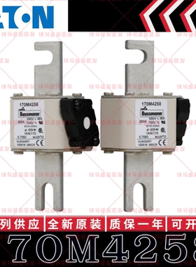 170M系列巴斯曼快速熔断器 170M4258 170M4259 170M4260 170M4261